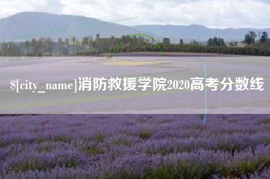 黄骅消防救援学院2020高考分数线
