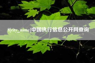 黄骅中国执行信息公开网查询