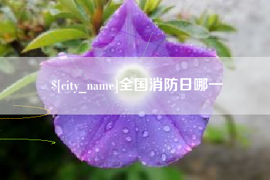 黄骅全国消防日哪一