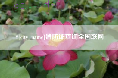 黄骅消防证查询全国联网