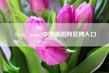 黄骅中国消防网官网入口