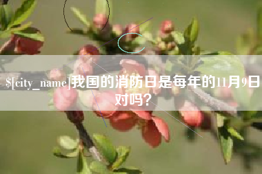 黄骅我国的消防日是每年的11月9日对吗？