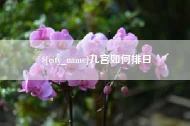 黄骅九宫如何排日