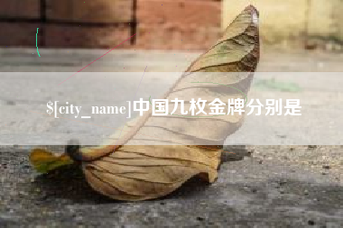 黄骅中国九枚金牌分别是