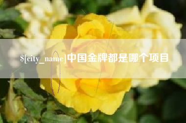 黄骅中国金牌都是哪个项目