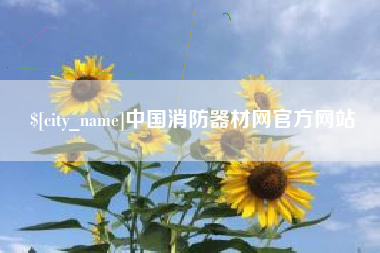 黄骅中国消防器材网官方网站