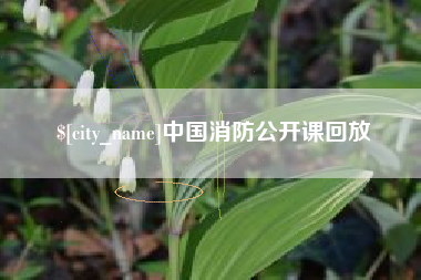 黄骅中国消防公开课回放