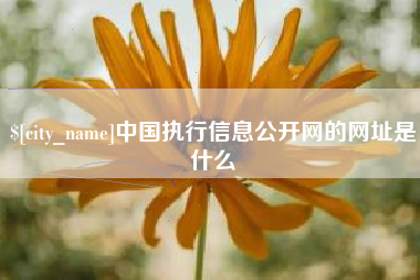黄骅中国执行信息公开网的网址是什么