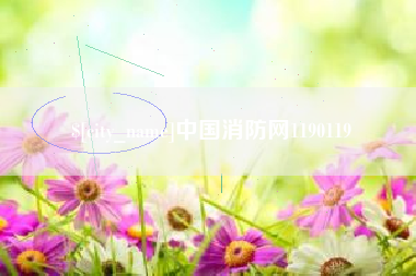 黄骅中国消防网1190119