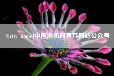 黄骅中国消防网官方网站公众号