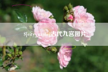 黄骅古代九宫图片
