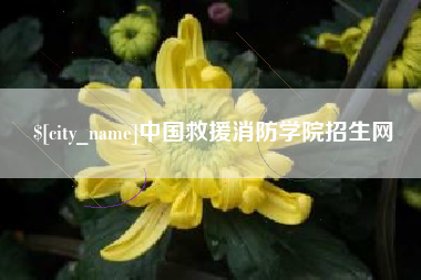 黄骅中国救援消防学院招生网