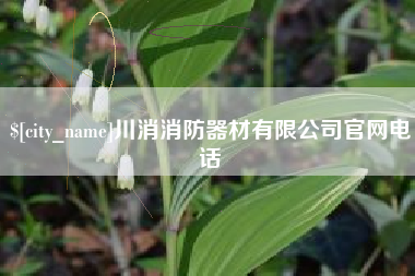 黄骅川消消防器材有限公司官网电话