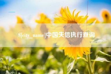 黄骅中国失信执行查询