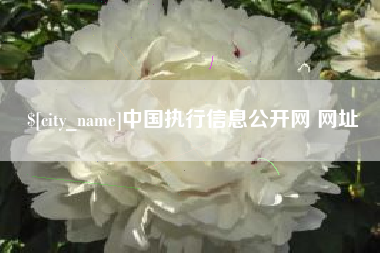 黄骅中国执行信息公开网 网址