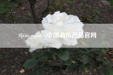 黄骅中国消防产品官网