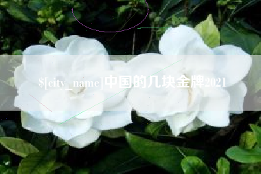 黄骅中国的几块金牌2021