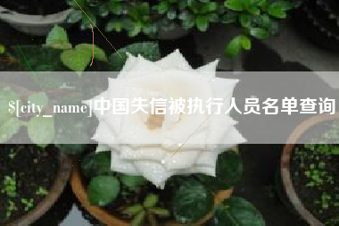 黄骅中国失信被执行人员名单查询