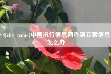 黄骅中国执行信息网查到立案信息怎么办