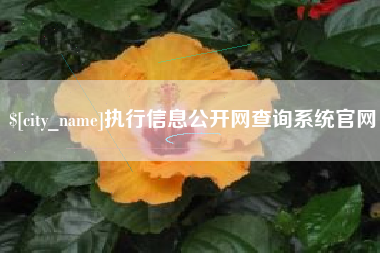 黄骅执行信息公开网查询系统官网