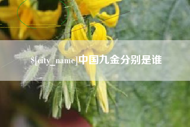 黄骅中国九金分别是谁