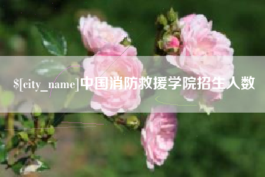 黄骅中国消防救援学院招生人数