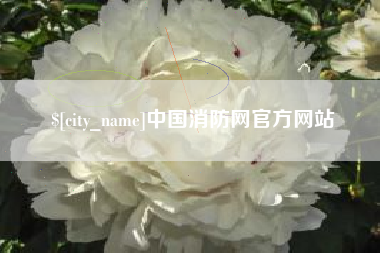黄骅中国消防网官方网站