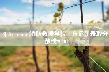 黄骅消防救援学院山东招生录取分数线2020