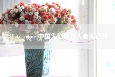 黄骅中国失信执行人查询官网