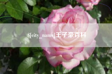 黄骅王子豪百科