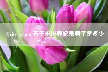 黄骅五千米世界纪录男子是多少