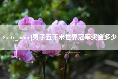 黄骅男子五千米世界冠军奖金多少