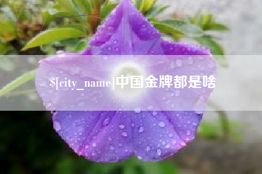 黄骅中国金牌都是啥