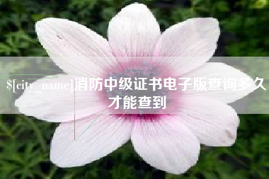 黄骅消防中级证书电子版查询多久才能查到
