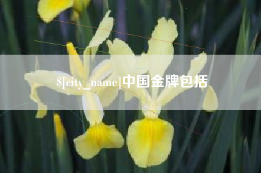 黄骅中国金牌包括
