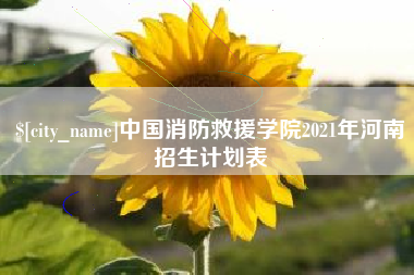 黄骅中国消防救援学院2021年河南招生计划表