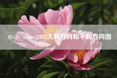 黄骅2025大利方向和不利方向图