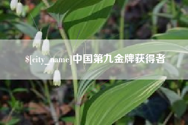黄骅中国第九金牌获得者