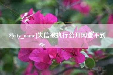 黄骅失信被执行公开网查不到
