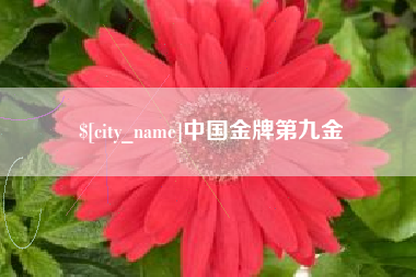 黄骅中国金牌第九金