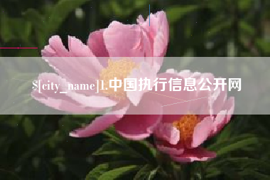 黄骅1.中国执行信息公开网