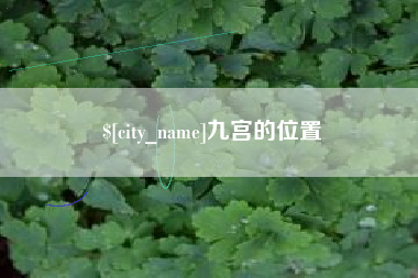 黄骅九宫的位置
