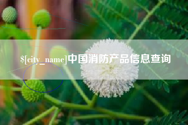 黄骅中国消防产品信息查询