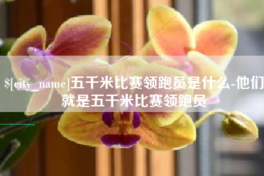黄骅五千米比赛领跑员是什么-他们就是五千米比赛领跑员
