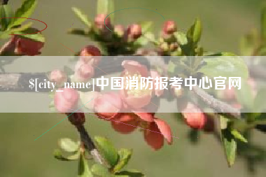 黄骅中国消防报考中心官网