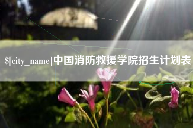 黄骅中国消防救援学院招生计划表