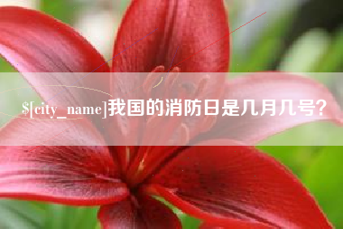黄骅我国的消防日是几月几号？
