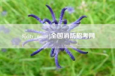 黄骅全国消防招考网