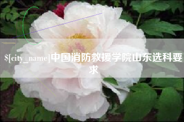 黄骅中国消防救援学院山东选科要求