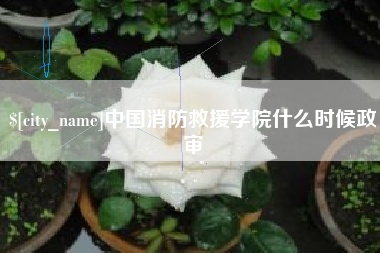 黄骅中国消防救援学院什么时候政审